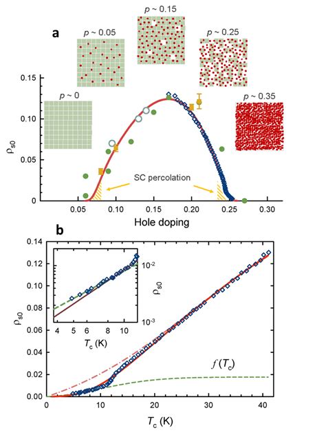 Superfluid Density Inhomogeneous Mott Localization And