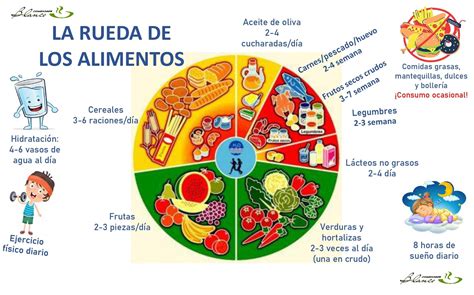 Blog Primaria La Rueda De Los Alimentos The Best Porn Website