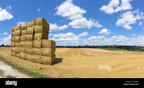 Stacked Straw Bales On A Stubble Field Stock Photo Alamy