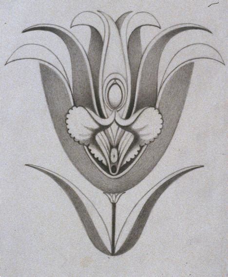 H Rt Auf Das Weibliche Geschlechtsteil Vagina Zu Nennen Vice