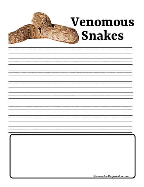 Reptiles Snakes Notebooking Pages For 1st To 8th Grades Homeschool