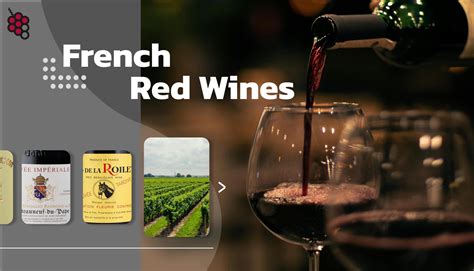 French Red Wine from Every Region in 2024