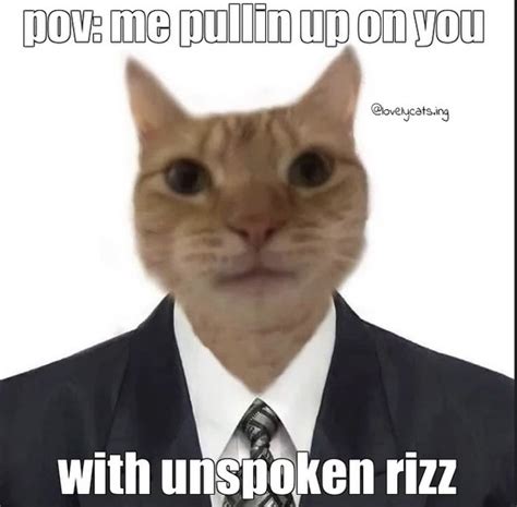 Cat meme unspoken rizz | Funny cute cats, Cat icon, Cute cats 