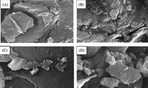 Scanning Electron Micrographs 30000 K Of Nonzincated A And