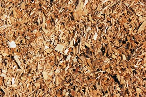 NamPower Receives Bids For Biomass Plant | ConstructAfrica 