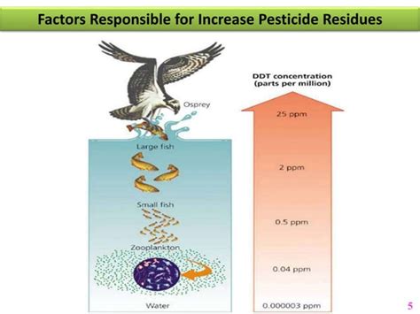 Pesticide Residue Analysis | PPT | Free Download