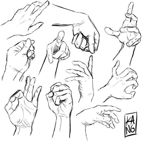 Hand Reference Drawing at GetDrawings | Free download