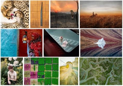 Sony World Photography Awards I Vincitori Del Concorso Open