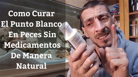 Como Curar El Punto Blanco En Peces Sin Medicamentos De Manera