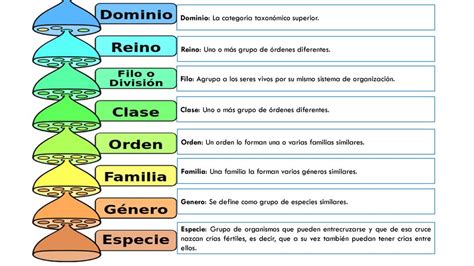 Clasificación taxonómica ppt descargar