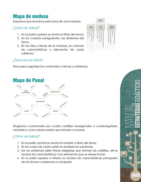 Guia Mapas Sencillo Medusa Etc Esquema Que Simula La Estructura De