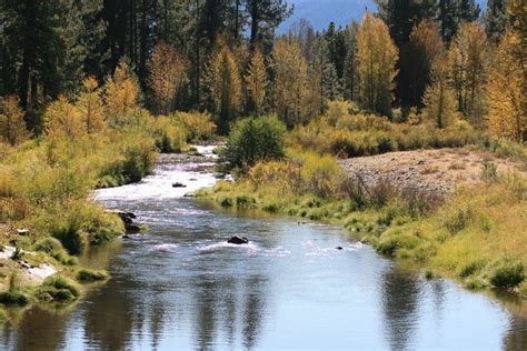 DIY Guide to Fly Fishing the Feather River (Middle Fork) in California ...