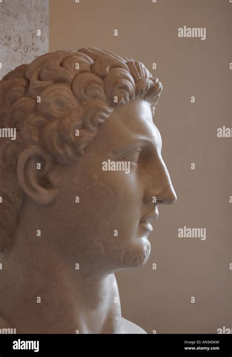 Alexander the Great (Alessandro Magno), Capitoline Museum, Rome, Italy Stock Photo - Alamy