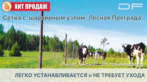Сетка с шарнирным узлом ЛЕСНАЯ ПРЕГРАДА - YouTube