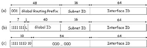 Unicast Ipv6 Address Structures A Provider Based Globally Routable Download Scientific