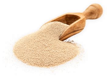 Home [www.ehe.com.au] 