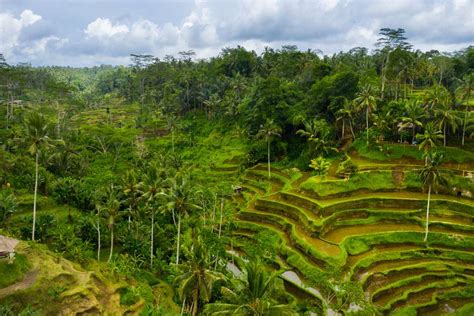 The Top Things To Do In Indonesia