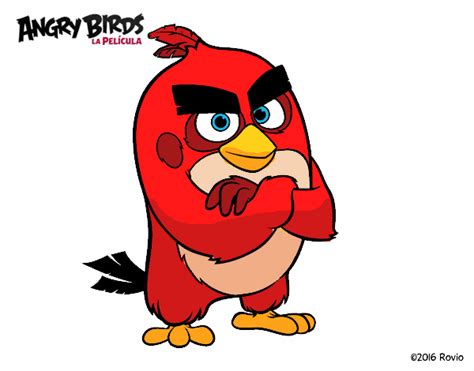 Dibujo De Red De Angry Birds Pintado Por En El Día 17 09 23