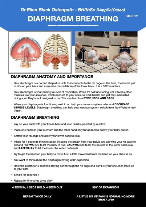 Diaphragm Breathing — Elevate Osteopathy