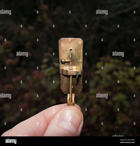 Replica Of Van Leeuwenhoek Microscope Stock Photo Alamy