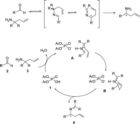 Understanding The Mechanism Of The Chiral Phosphoric Acid Catalyzed Aza