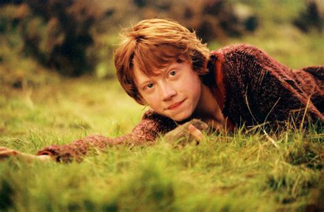 Ron Ronald Weasley Photo 29585851 Fanpop