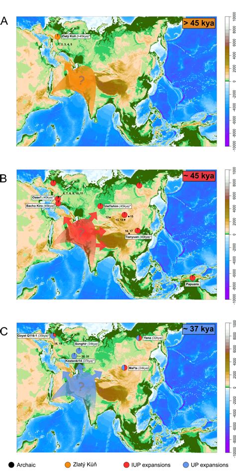 Subsequent expansions into Eurasia from a population hub out ...