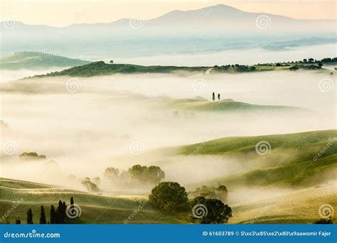 The Fairytale Foggy Landscape Of Tuscan Fields At Sunrise Stock Image