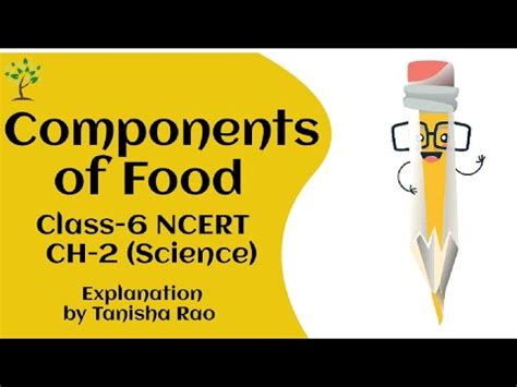 Ch Components Of Food Class 6 Science NCERT Explanation YouTube