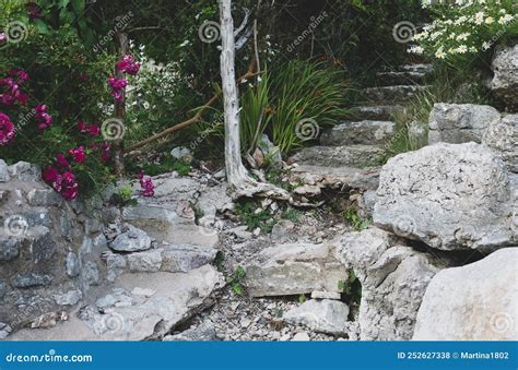 Stone Steps And Flowers Stock Photo Image Of Travel 252627338