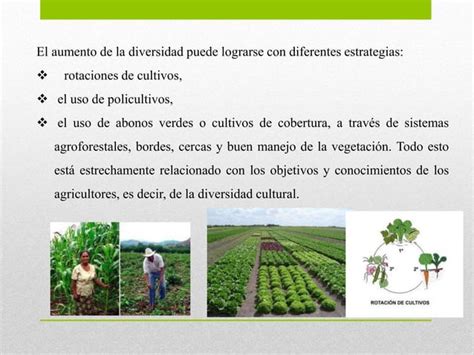 Manejo De La Biodivesidad En Los Agroecosistemas PPT Descarga Gratuita