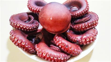 HOW TO COOK SAUTEED OCTOPUS GINISANG PUGITA RECIPE YouTube