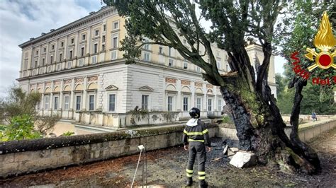 Maltempo Fulmine Colpisce E Incendia Un Albero Monumentale Nei