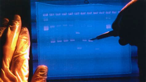 Scientists Complete Map of Full Human Genome — Really