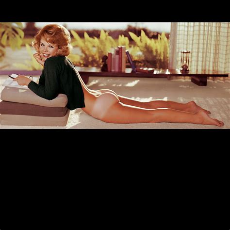 Playboy Mafia Porn Pictures Xxx Photos Sex Images Pictoa