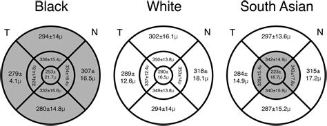 Age Sex And Ethnic Variations In Inner And Outer Retinal And