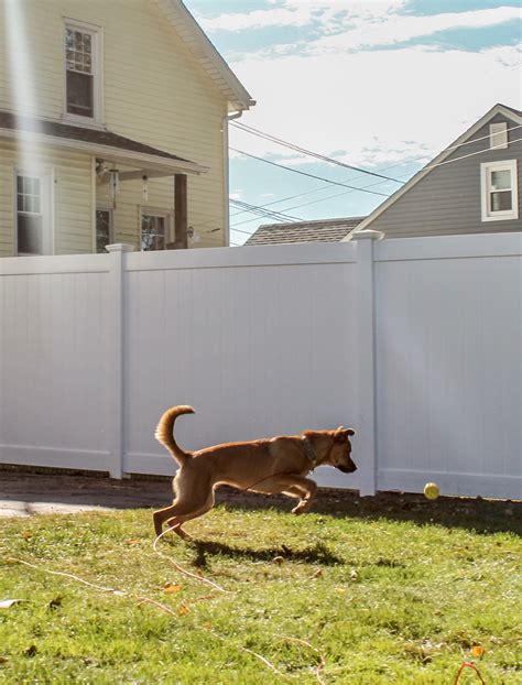 Dog Fence Installation Contractor - Hartford Fence