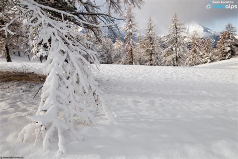 Nevicata Di Fine Autunno Pr Catinat Parco Orsiera Rocciav Flickr