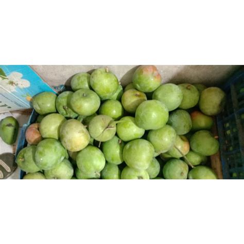 Jual Mangga Apel 15kg Mentah Rasa Asem Masam Segar Fresh Rujak Ngidam