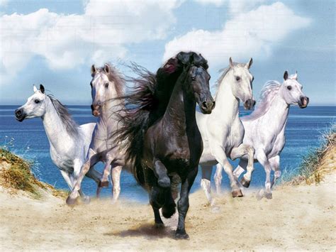 Galloping Horse Wallpapers - Top Free Galloping Horse Backgrounds ...