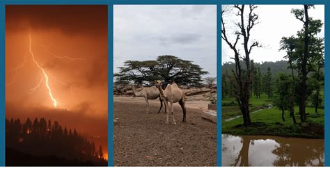 Climate Extremes and Impacts Lab | Washington State University