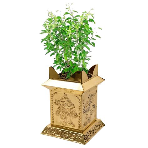 Spillbox Brass Tulasi | Tulsi | Thulasi | Madam | Maadam | Mandapam