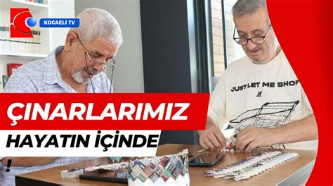 ÇINARLARIMIZ BÜYÜKŞEHİRLE HAYATIN İÇİNDE YouTube