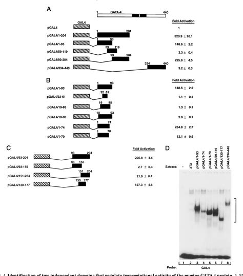 Figure 1 From GATA 4 Activates Transcription Via Two Novel Domains That