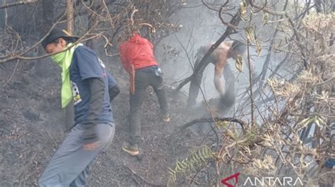 Padang Sabana Alun Alun Suryakencana Gunung Gede Terbakar Tim Gabungan