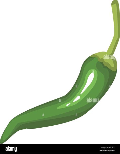 Hot Spicy Chilli Stock Vector Image Art Alamy