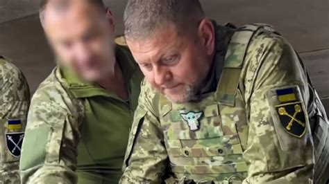 Un Baby Yoda Vuelve Viral Al Comandante En Jefe Del Ej Rcito