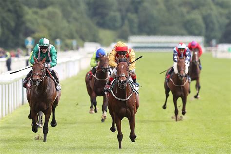 Wholl Win At York Races Tips For Summer Music Saturday Yorkmix