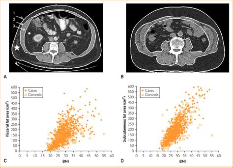 Relationship Between Body Mass Index Bmi And Adipose Tissue Volume