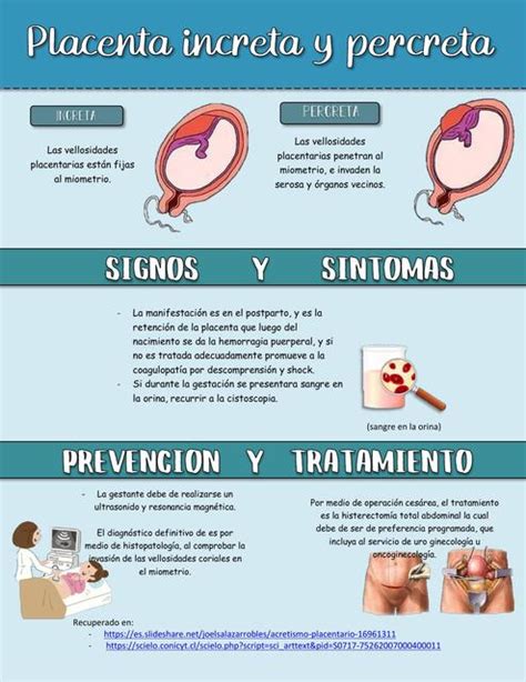 Resúmenes De Placenta Descarga Apuntes De Placenta